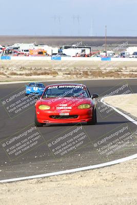 media/Jan-25-2025-CalClub SCCA (Sat) [[03c98a249e]]/Race 4/